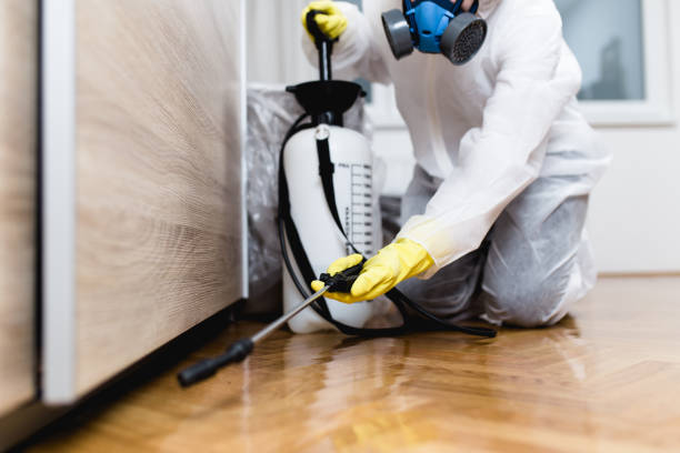 Best Wasp Removal Services  in Karns, TN