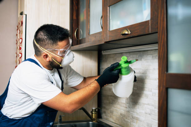 Best Best Pest Control Companies  in Karns, TN