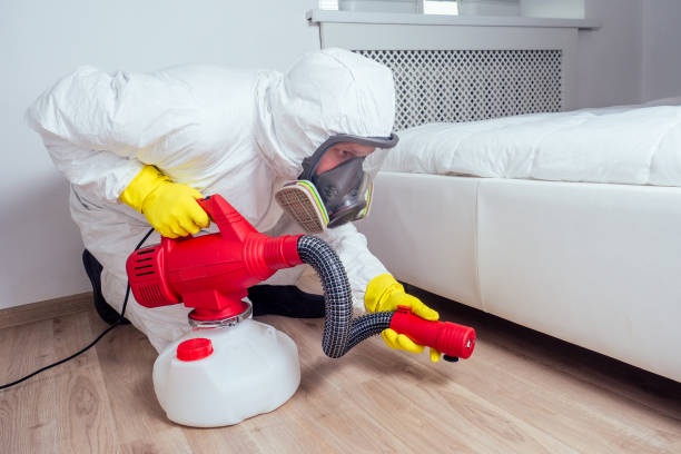 Best Local Pest Control Services  in Karns, TN