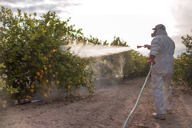 Insect Control in Karns, TN