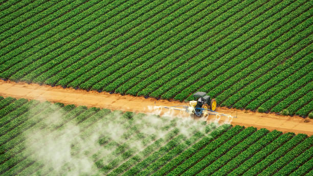 Best Ant Control Services  in Karns, TN