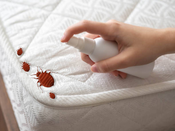 Best Affordable Pest Control Services  in Karns, TN