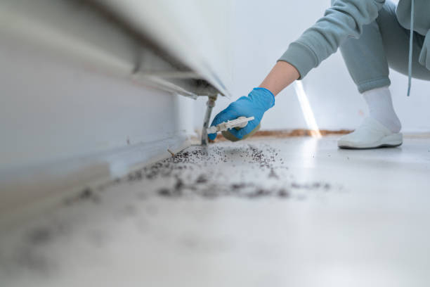 Best Residential Pest Control  in Karns, TN