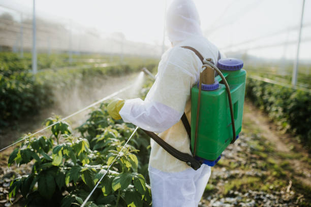 Best Pest Control Treatment  in Karns, TN